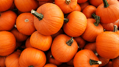 pumpkins