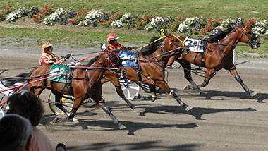 Three Horses Racing