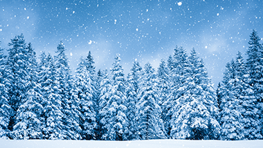 Snowfall FSP