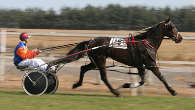 side view of jockey in cart with horse running